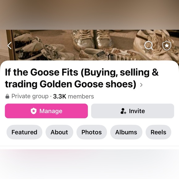 Golden Goose Mask - Picture 4 of 4